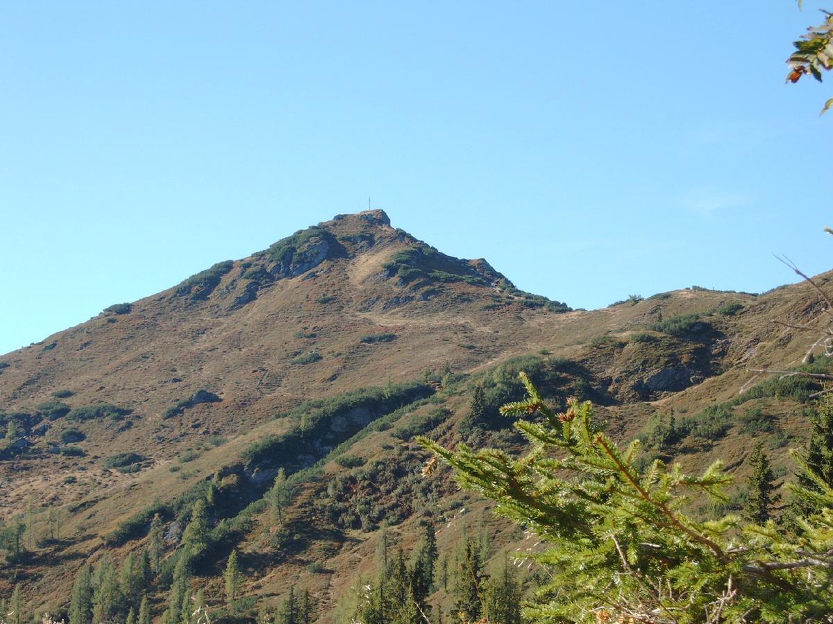 Berggasthof Latschenhof Ξενοδοχείο Φλαχάου Εξωτερικό φωτογραφία